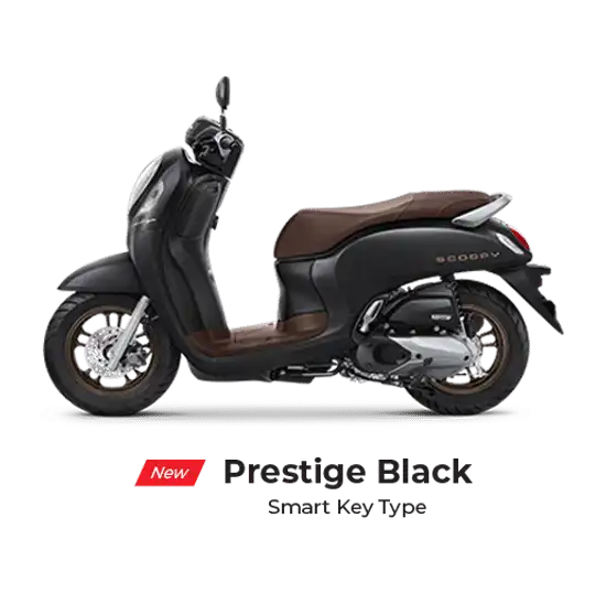 Pilihan Gambar Warna Scoopy ESP Stylish Plus Klaten 2024